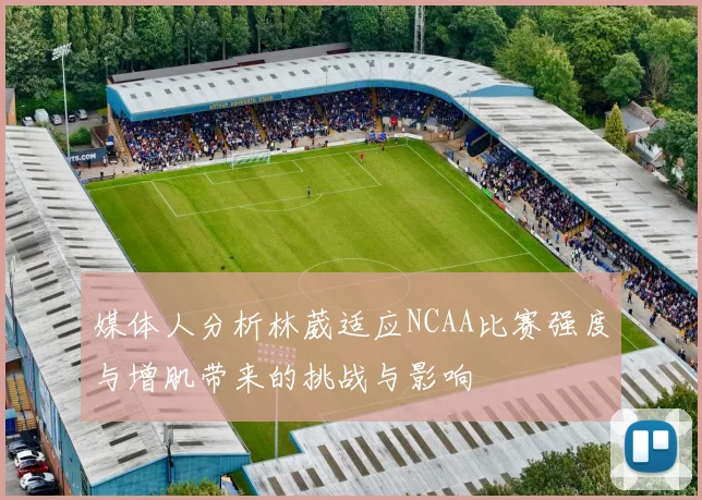 媒体人分析林葳适应NCAA比赛强度与增肌带来的挑战与影响