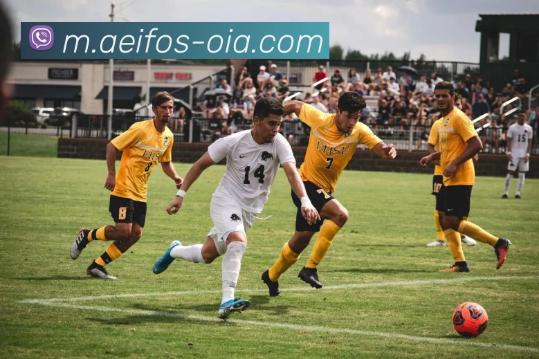 马博官方在线入口品牌故事