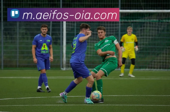 马博官方在线入口服务体系